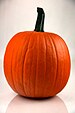 Pumpkin 2 - Evan Swigart.jpg