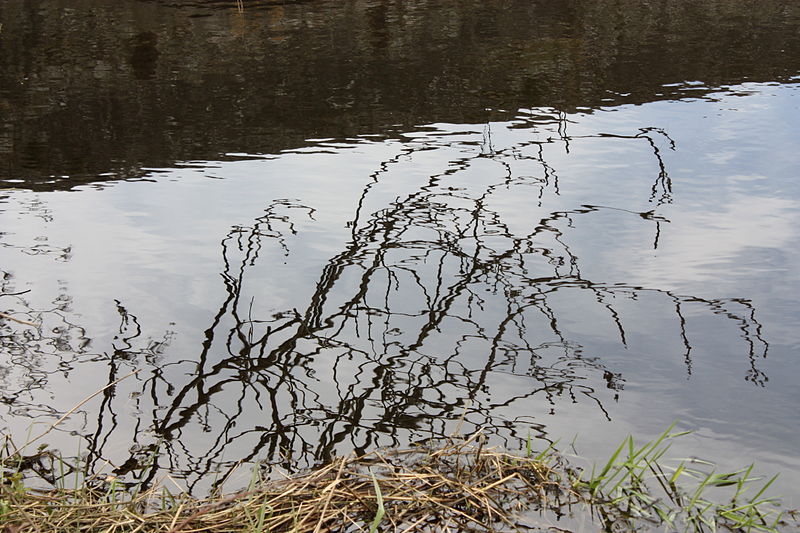 File:Quoile River, Downpatrick, April 2010 (03).JPG