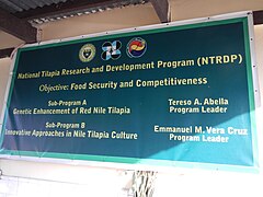 National Tilapia Research and Development Program (NTRDP)[18] – Red Nile Tilapia Aquaculture of tilapia [19] Nile tilapia Oreochromis niloticus