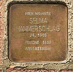 Stolperstein Rehburg-Loccum Mühlentorstraße 25 Selma Hammerschlag