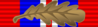 Band - Kriegsmedaille amp; MiD.png