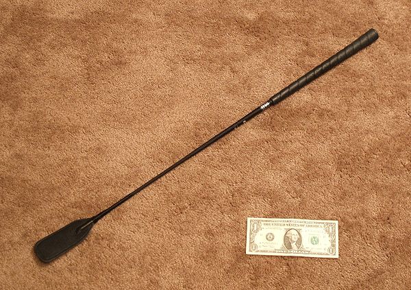 A type of whip known as a riding crop pictured with a U.S. dollar bill for size comparison.