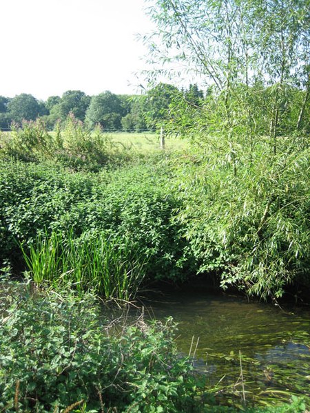 File:River and water meadows near Old Carr wood - geograph.org.uk - 522821.jpg