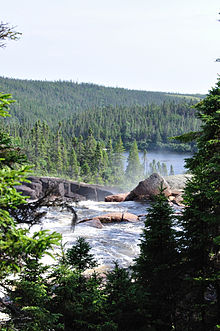 Photo de la vallée de la Romaine, prise près d'une chute. La rivière coule de l'avant de la photo jusqu'à l'arrière-plan et est encadrée des deux côtés par une forêt dense de conifères.