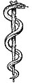 Image 41Rod of Asclepius, in which the snake, through ecdysis, symbolizes healing (from Snake)
