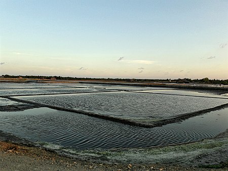 Lý Nhơn