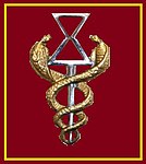 SANDF SAMS Ancillary Health chest insignia.jpg