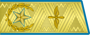 300px-SA_AF_F9ChiefMars_1974_h.svg.png