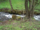 Das Trusetal am Ortsrand von Brotterode.