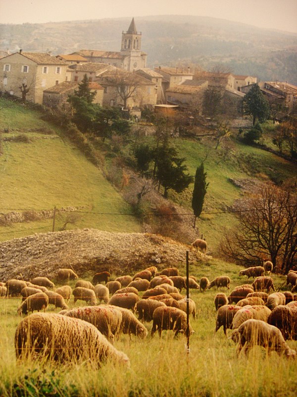 Saint-Andéol-de-Berg