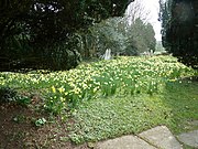 The churchyard of St. George's, West Grinstead