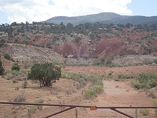 <span class="mw-page-title-main">Salitral Formation</span> Triassic geologic formation in New Mexico, United States