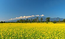 A view from Bhalukpong, a small town by the southern reaches of the Himalayas.