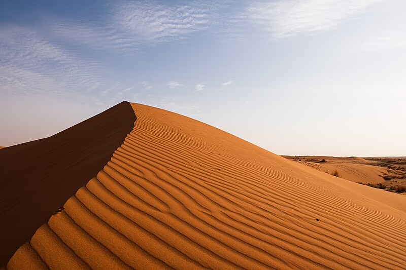 File:Sand Dunes sa.jpg