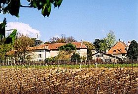 View of the village and the vineyard