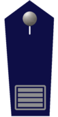 Brandamtsrat/-rätin