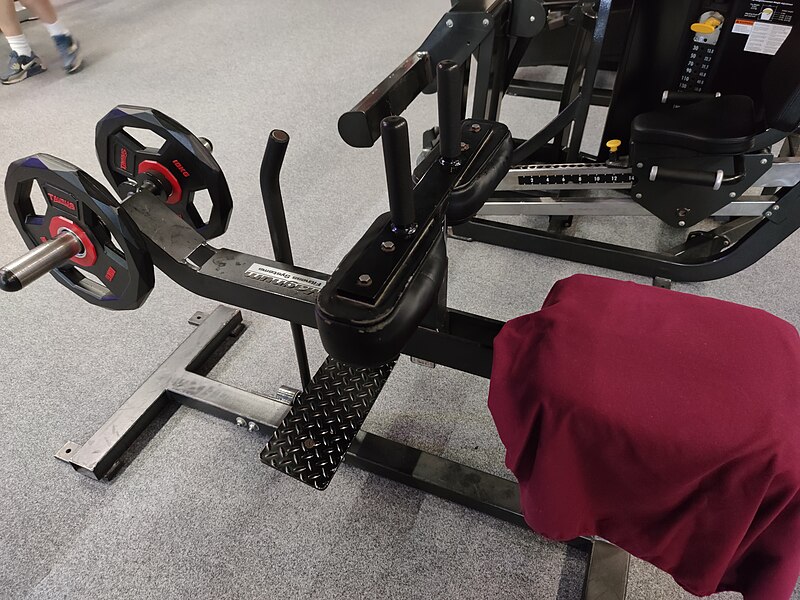 File:Seated calf machine.jpg