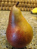 Thumbnail for Seckel pear