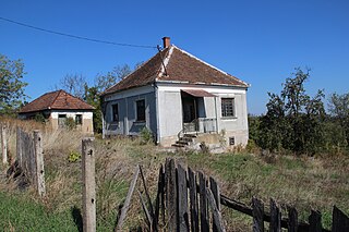 <span class="mw-page-title-main">Loznica (Valjevo)</span> Village in Kolubara District, Serbia