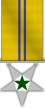 Senior Admin 2C Medal.svg