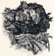 Cabeza de la momia de Seqenenra Taa al ser desvendada; ilustración de 1901.