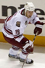 Miniatura pro Shane Doan