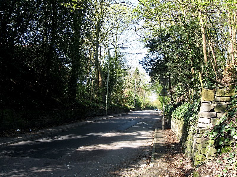 File:Shifnal Rd. Priorslee. Telford - geograph.org.uk - 2350426.jpg