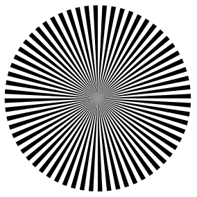 Siemens star (128 spokes) & Matlab code.svg