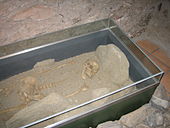 Alemannisches Skelett aus dem Zollikerberg