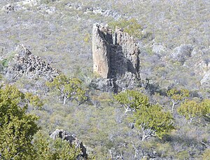 Socotra-rock.jpg