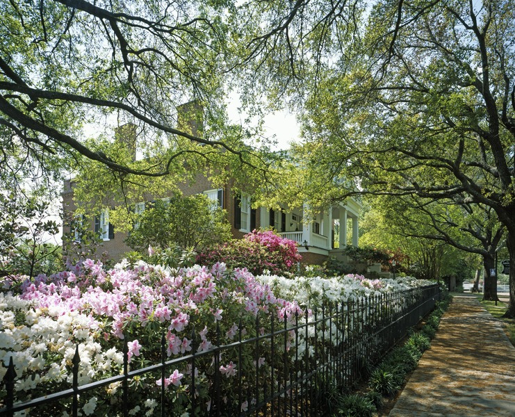 File:Springtime in Natchez, Mississippi LCCN2011630718.tif