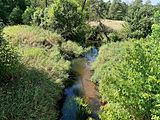 Warkocz river in Suków