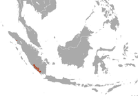 Sumatran Striped Rabbit area.png