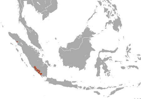 Tập_tin:Sumatran_Striped_Rabbit_area.png