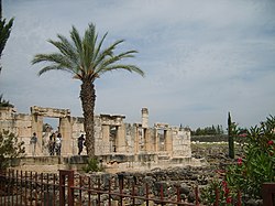 Ruines de la synagogue