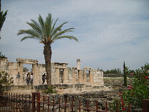 Rivinoù ar sinagog