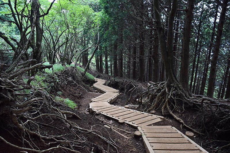 File:Tanzawa's trail (49441922263).jpg