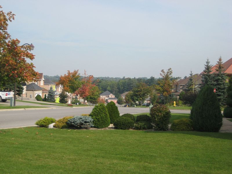 File:Tea Rose Street East Landscape in Autumn - panoramio.jpg