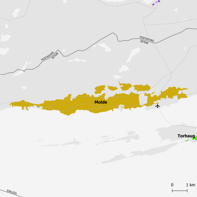 Karte einer an der Küste gelegenen Gegend. Entlang der Küste langgezogen ist die Stadt Molde eingezeichnet.