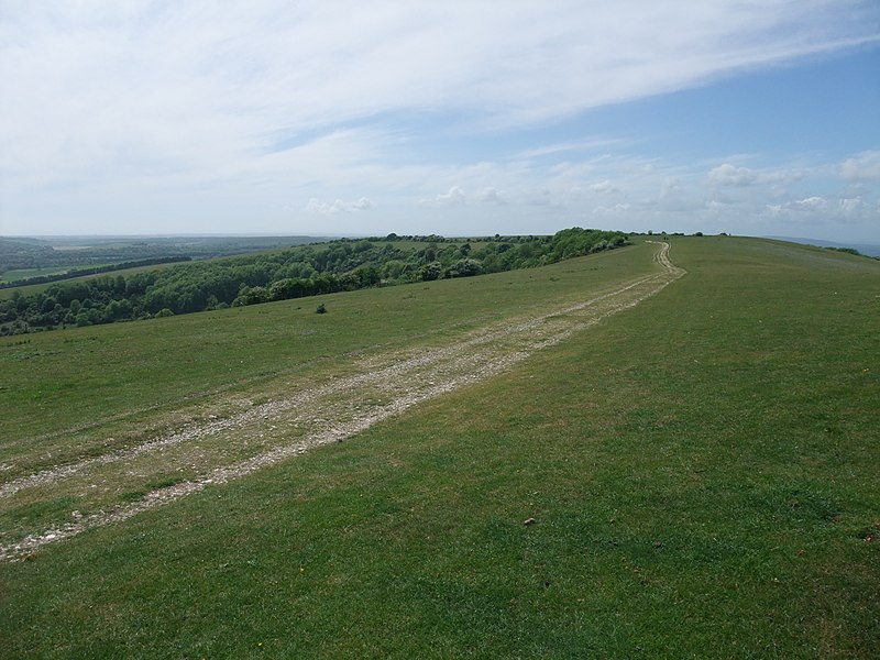 File:The South Downs Way south east of Chanctonbury Ring - geograph.org.uk - 2454930.jpg