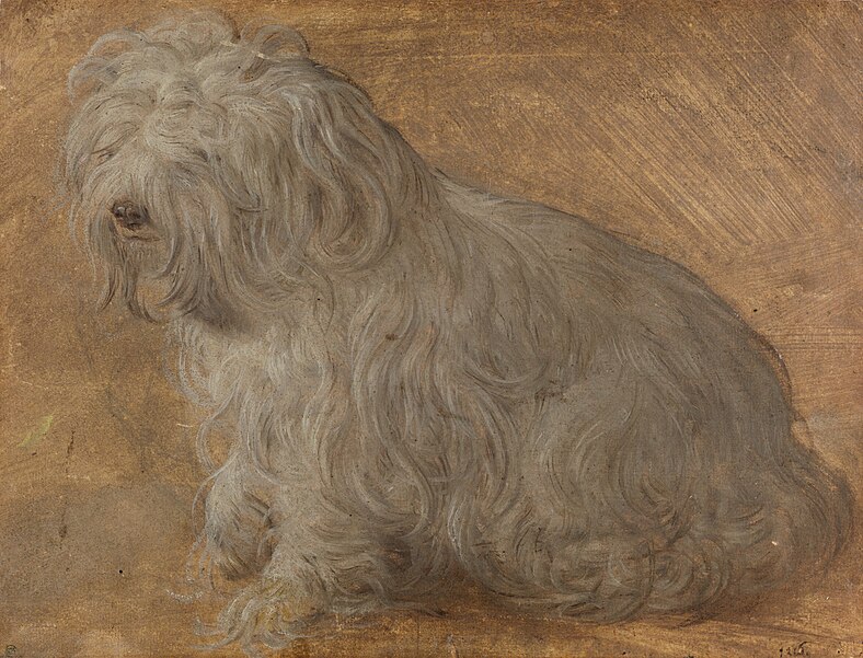 File:Tizian, italiensk, född ca 1488 eller - Malteserhund - NM 4851 - Nationalmuseum.jpg