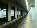 Toei-ichigaya-station-platform.jpg