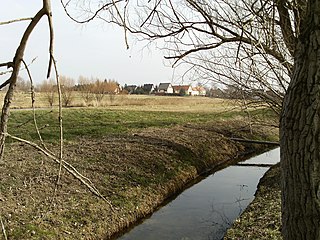 <span class="mw-page-title-main">Ellerbach (Saale)</span> River in Germany