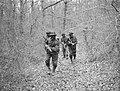 Trainees learn jungle tactics for the Pacific War at the Royal Marines Eastern Warfare School at Brockenhurst, Hampshire, 2 February 1945. A27308.jpg