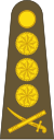 Transkei-Army-OF-9.svg 