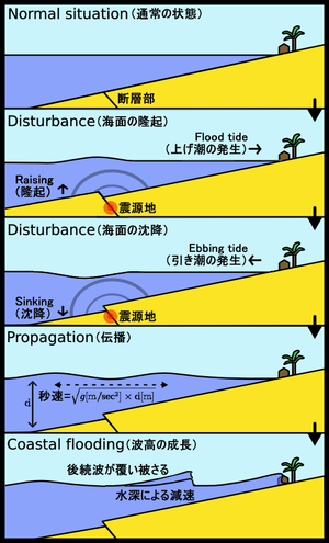 津波: 概要, 津波をもたらす原因, 津波現象の特徴