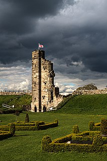 <span class="mw-page-title-main">Tutbury Castle</span> Castle in England