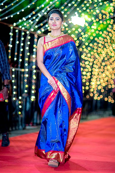 File:Vani Bhojan at the ‘Zee Cine Awards’.jpg
