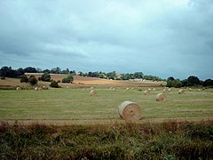 View from Military Road towards Stone Church - geograph.org.uk - 430592.jpg
