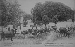 Skyline of Villiers-aux-Corneilles